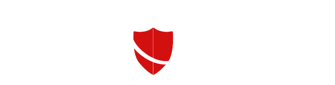 OSINTDomain